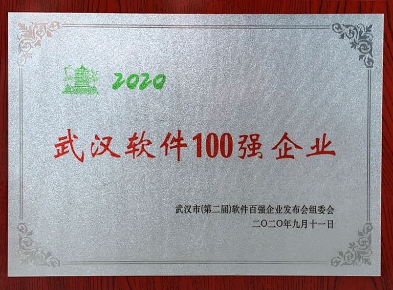 16、2020年武汉软件100强企业