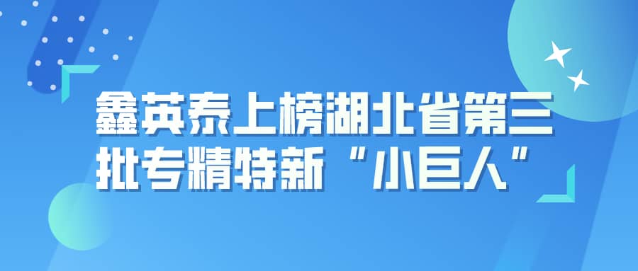 鑫英泰上榜湖北省第三批专精特新“小巨人”企业名单