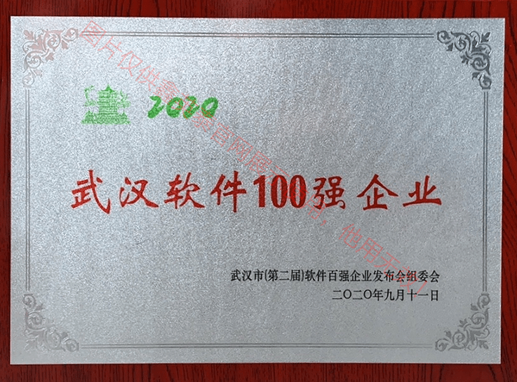 2020年武汉市软件百强企业